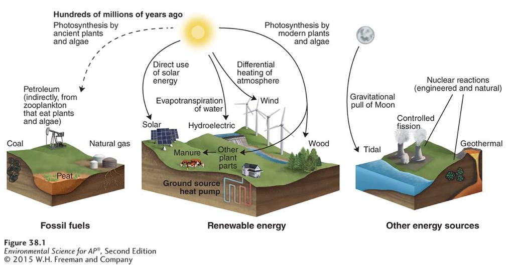Biomass is energy from the Sun Energy from the Sun.