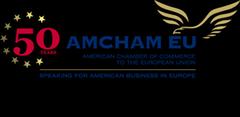 24 March 2014 Scope of the proposal Impact on all packaging products The American Chamber of Commerce to the European Union (AmCham EU) has concerns regarding certain provisions in the proposal which