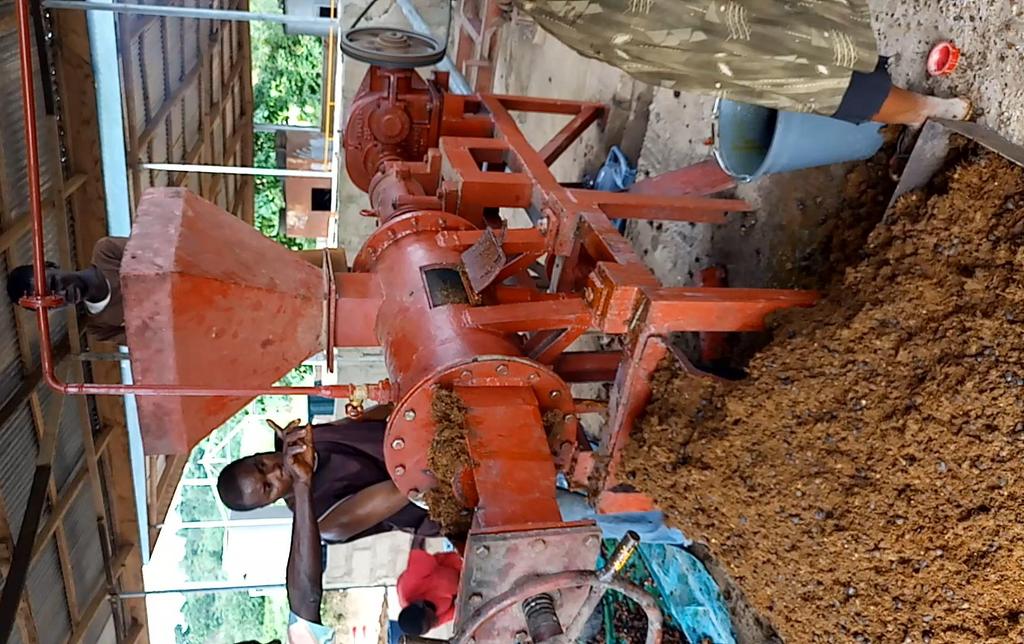 Processing of Oil Palm Fruits