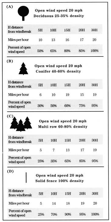 example, for a windbreak where the tallest trees are 30 feet, the greatest wind speed reductions will occur from 60 feet to 300 feet leeward of the windbreak.