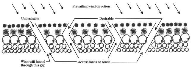 On the upwind side of a windbreak, wind speed reductions are measurable for a distance of two to five times the height of the windbreak.