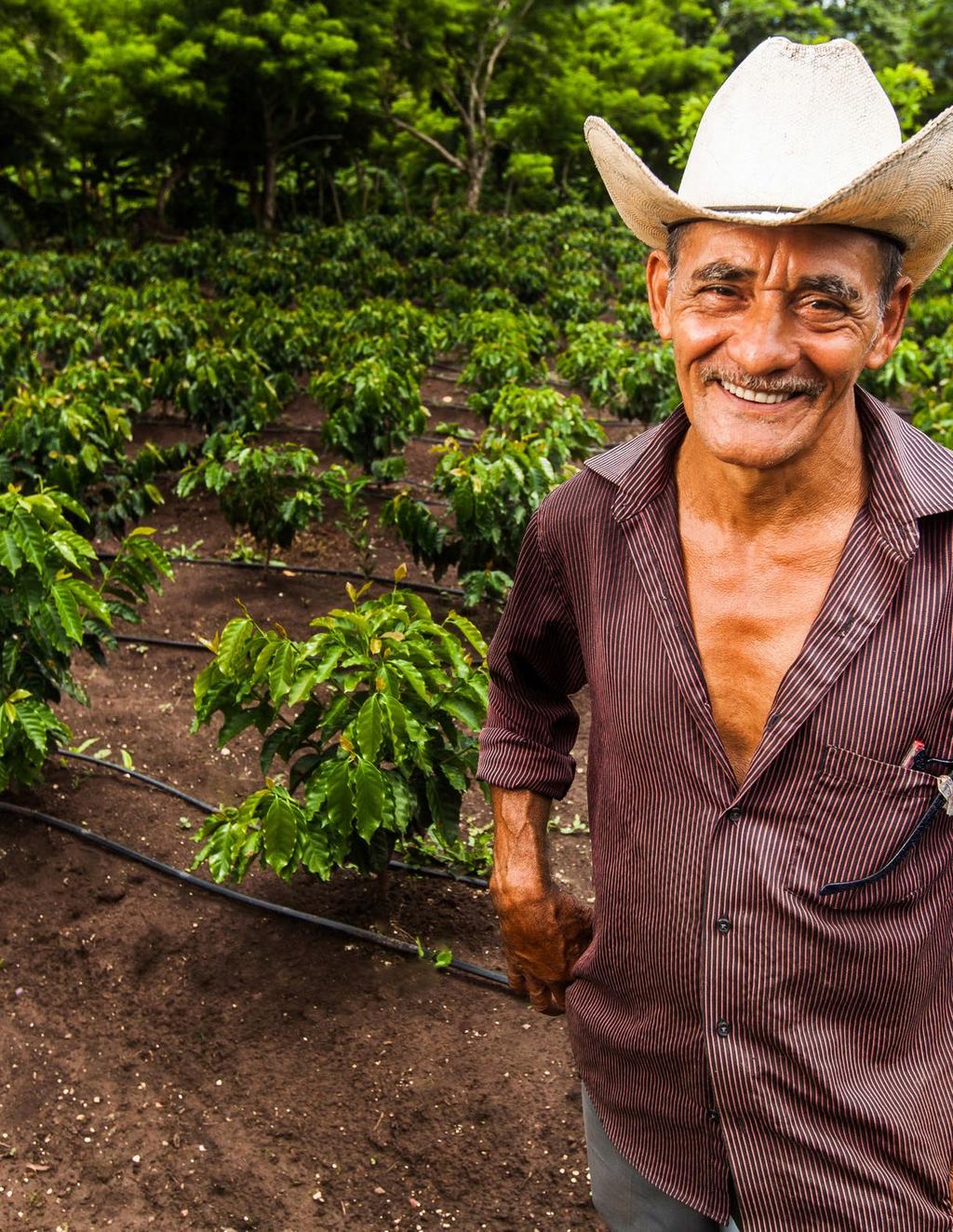 Working with the Private Sector The U.S. private sector is a crucial partner in supporting, generating and scaling food security innovations. The domestic coffee industry, responsible for nearly 1.