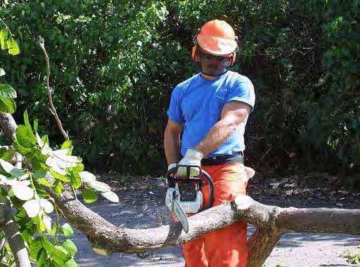 Always cut at waist level or below 10% of chain saw injuries affect the head and 10%