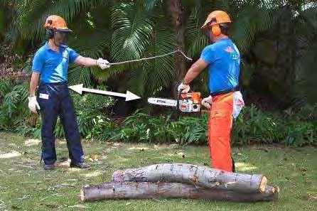 When operating a chain saw