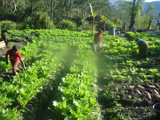 The Concept of Food Sovereignty Definition of Food Sovereignty Food Sovereignty is the right of individuals, communities, peoples and countries to define their own agricultural, labour, fishing, food
