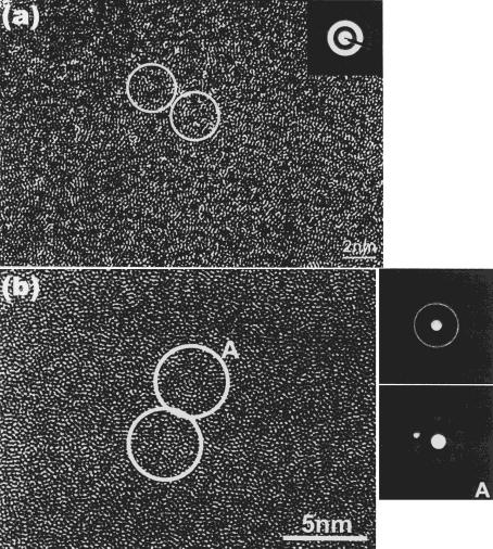 5 High-resolution TEM images of Zr 70 Pd 30 glassy alloy. (a) as-quenched state. (b) annealed for 120 s at 690 K.