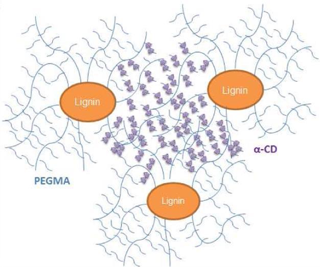 Hyperbranched Lignin Copolymers Kraft Lignin Functionalized