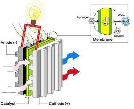 Hydrogen Fuel Cells : how they work Bottled Hydrogen Hydrogen Electricity Oxygen Water Heat Fuel Cell Hydrogen and oxygen are fed into the fuel cell Hydrogen