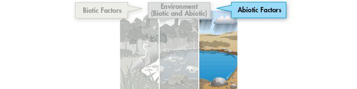 Abiotic Factors An abiotic factor is any nonliving part of the environment, such