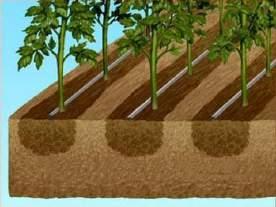 consumption Soil