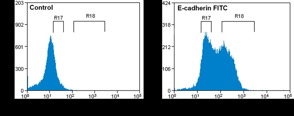 Supplementary Figure 3. Sorting of ectoderm and endoderm cells based on E-cadherin expression.