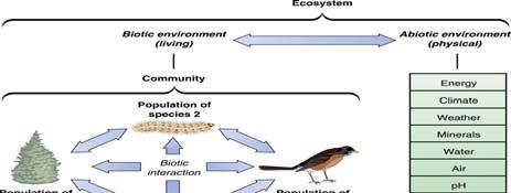Ecosystems are the most complex level of biological organization: cells, tissues,