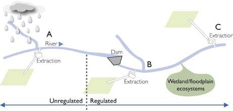 Environmental Safeguards Framework 39 ANNEX 5: ENVIRONMENTAL FLOWS How do dams affect ecosystems?