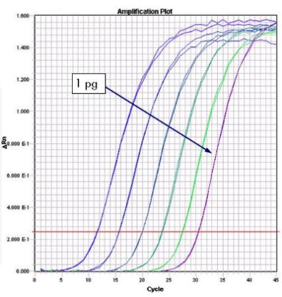 Introduction to qpcr Real-time tracking of [DNA]! Uses probes that fluoresce! when bind to any DNA! when bind to specific DNA (FRET)! How and why does [DNA] change during PCR?! first plateau! Signal!