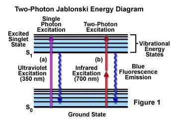 2-photon microscopy: theory Images: (1)
