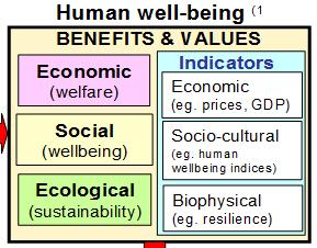 Economic benefits: Captures total economic value. Use values: e.g.