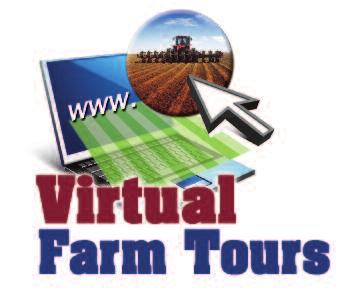 HOW TO USE THIS RESOURCE: Virtual Farm Tours is available as a DVD or online at www.virtualfarmtours.ca. or www.visitesvirtuellesdesfermes.ca The Tours This Teacher s Guide includes: 1.