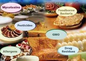 Major Food Safety Risks/ Concerns Residues & contaminants Pathogens/