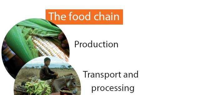 Risk Management - the food supply chain