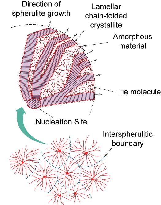 Polymer Crystal Forms Spherulites fast growth forms lamellar (layered) structures