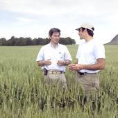 Syngenta s role in agriculture Syngenta is one of the