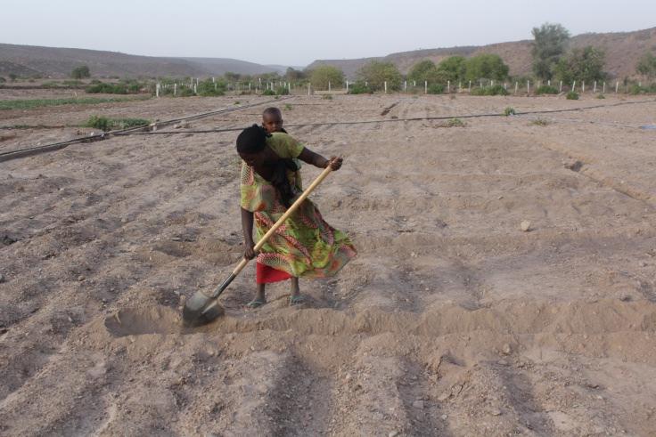 Photo: woman preparing her land for the cultivation of melons in Dhourreh (June 2013) while carrying baby on the back