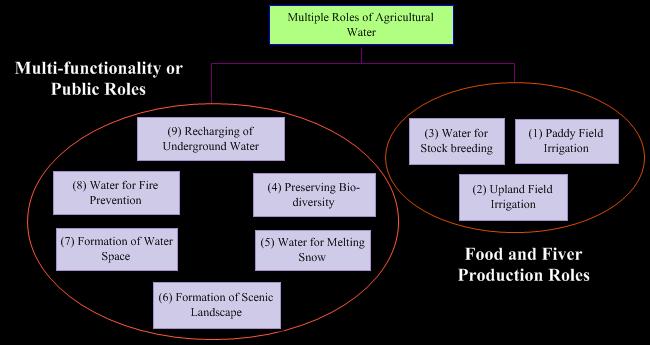Multiple roles of Agricultural Water Figure 10: Multiple roles of