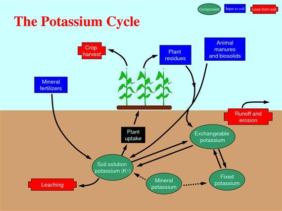 Potassium is not generally considered a pollutant in surface or subsurface waters.