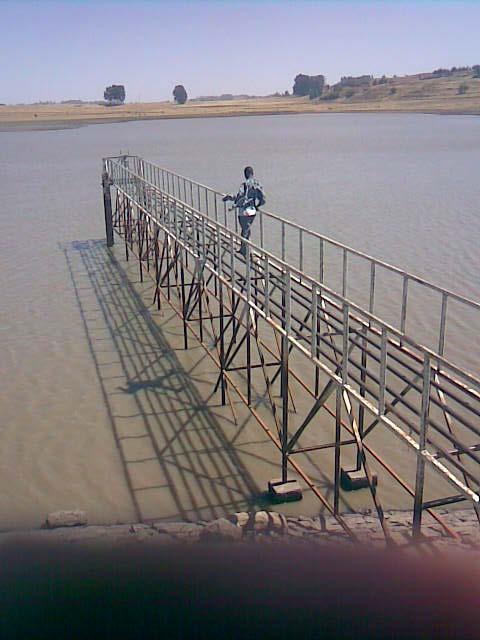 Water-Irrigation for Food Security in Amhara National Regional State Mamaru Tsediku Head, Bureau