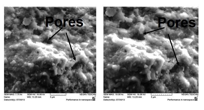 Figure (9) SEM images of 5 mm from the surface of PC specimens continuously immersed in kerosene for 90 days.