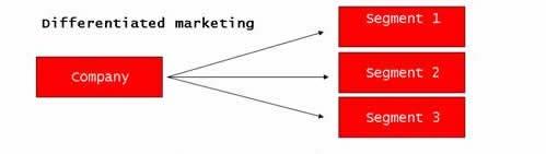 MARKET TARGETING OPTIONS Option 2: Differentiated Strategy If a firm decides to target several segments of the market, it is engaging in a differentiated marketing