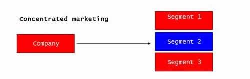 MARKET TARGETING OPTIONS Option 3 Concentrated Concentrated marketing occurs when a concentrates its marketing effort on one segment of the market.