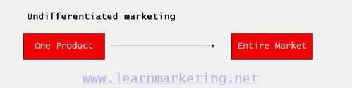 MARKET TARGETING OPTIONS Option 1: Undifferentiated Undifferentiated marketing is marketing that does not target a