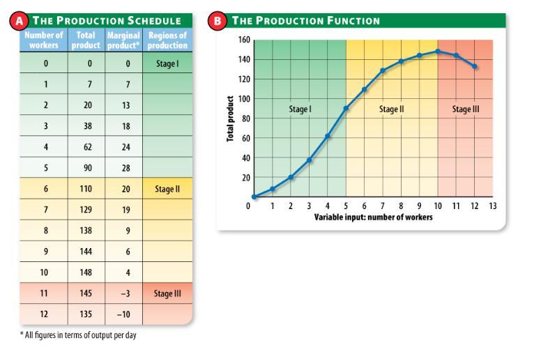 Short-Run Production Total Product: total output or production by a firm