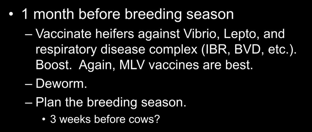 Yearling Guidelines 1 month before breeding season Vaccinate heifers against Vibrio, Lepto, and respiratory disease