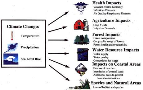 Potential Climate Change Impacts in the Caribbean Source: GEF Consultations on NAPA Guidelines, Arusha, Tanzania; February 28, 2001 Adaptation: Challenges and Opportunities in the Caribbean