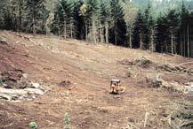 Don t risk violating the Forest Practices regulations! Site disturbance Site disturbance refers to how the land is affected by the harvest activities.