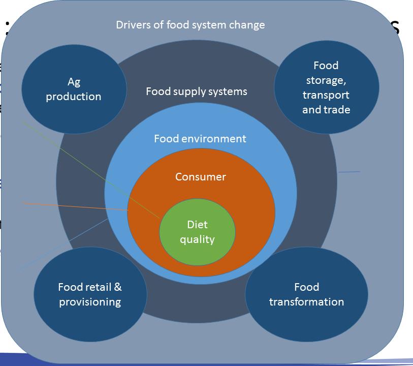 Food systems The full set of processes, activities, infrastructure and environment that encompass the production, processing, distribution, waste disposal, and food consumption.