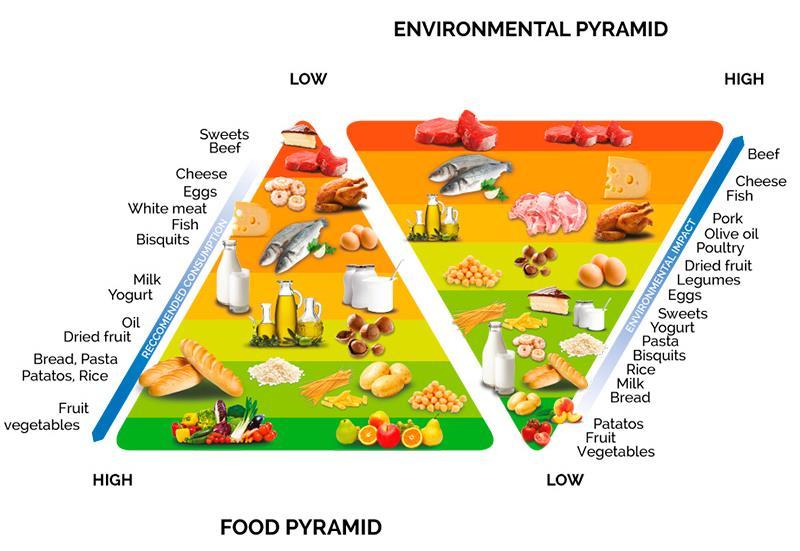 DIETS FOR PLANETARY HEALTH For example: Animal products = elephant