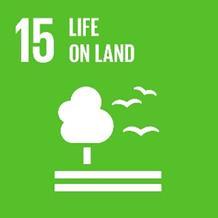 Land as a central element SDG 15, Target 15.