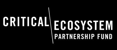 Critical Ecosystem Partnership Fund Call for Proposals Evaluation of Pilot Long-term Vision Exercises Opening date: Monday, 19 February 2018 Closing date: Monday, 19 March 2018, 4:00 p.m. (U.S.