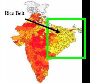 An Interesting Co-incidence - Plenty of rice husk to serve 125K un-electrified villages in India Rural Power