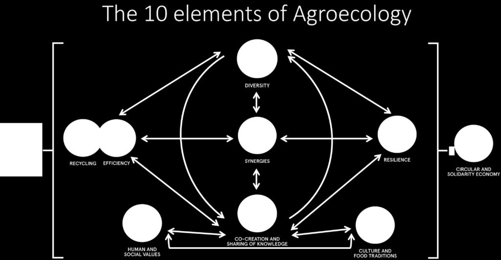 8 COAG/2018/5 ANNEX THE 10 ELEMENTS OF AGROECOLOGY, GUIDING THE TRANSITION TO SUSTAINABLE FOOD AND AGRICULTURAL SYSTEMS Agroecology considers the interactions among key environmental, social and