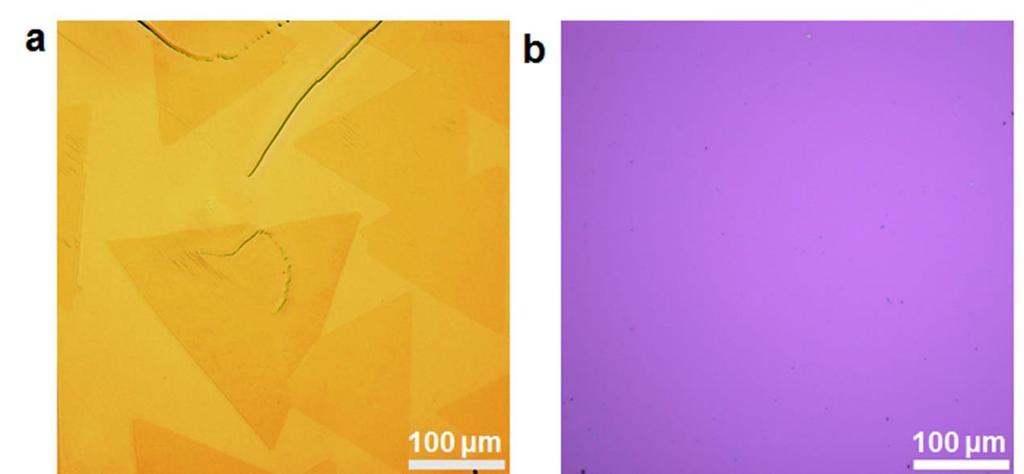 Supplementary Figure 15. (a) Optical image of monolayer single-crystal WS 2 domains grown on a Au foil by low-pressure CVD.