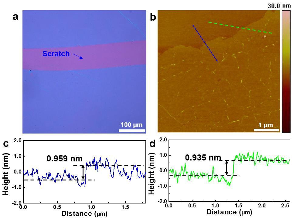 Supplementary Figure 5. (a) Optical image of the WS 2 sample grown on a Au foil and then transferred onto a SiO 2 /Si substrate, in which a scratch was made with a plastic sheet for AFM measurements.