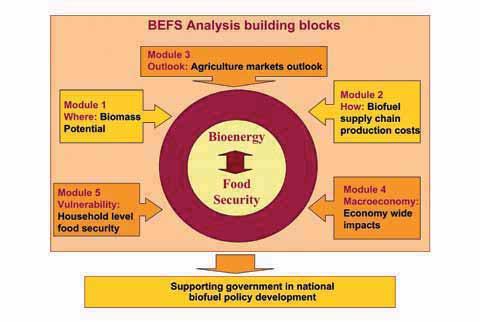 AGRICULTURE, BIOENERGY AND FOOD SECURITY: USING BEFS TO GUIDE AGRICULTURAL CHANGE Within the BEFS approach there are two key elements to the BEFS assessment, namely: a.