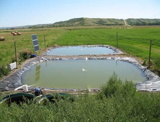 Water Quality and Food Safety Research on reducing pathogens in irrigation