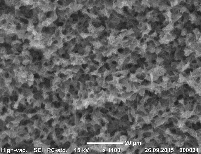 Macroporous high performance polymers