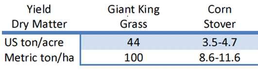 Lignin & ash are byproducts One dry ton of Giant King Grass is slightly better