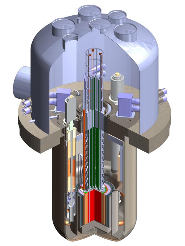 The Traveling Wave Reactor TWRs can operate with reload fuels including depleted uranium,
